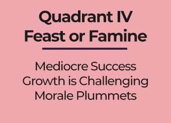 Bizdev Quadrant 4 Feast or Famine